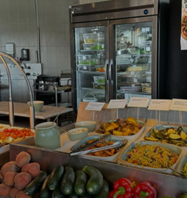Apparatuur voor Catering